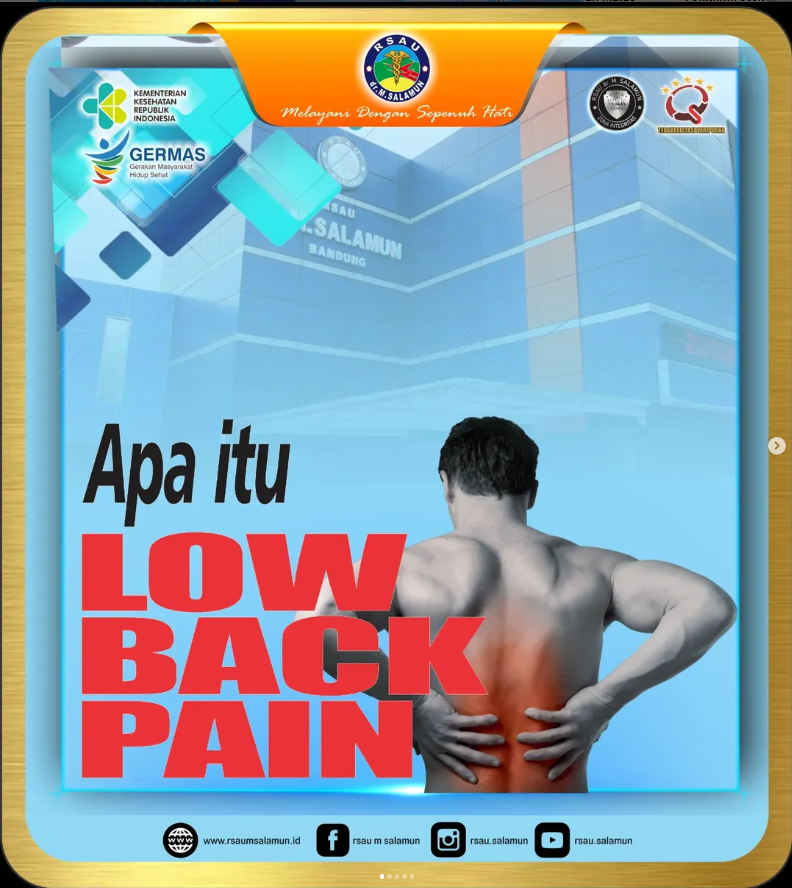  Apa Itu Low Back Pain?